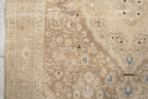 Antique Sarouk Area Rug (4' x 6')